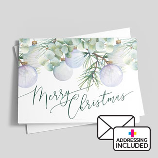 Evergreen essential for Christmas cheer