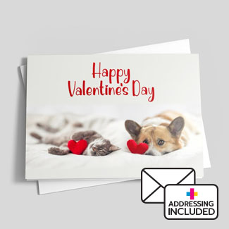 Cute animal design showing valentines love