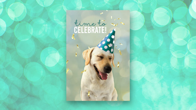 Happy Dog Birthday Card