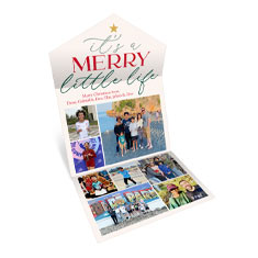Merry Little Life