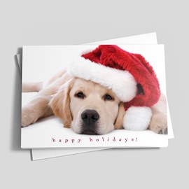 Cute Puppy Holiday