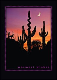 Desert Nightfall