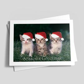 Three Kittens Card
