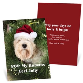 Pet Perspective - Christmas Card