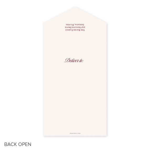back of a Christmas card with a pointed flap and text area