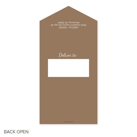 brown envelope with deliver to area