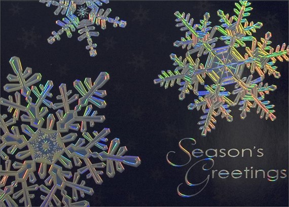 Shimmering Snowflakes