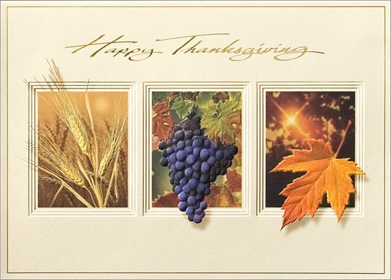 Autumn Harvest