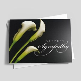 The Beauty of Lilies