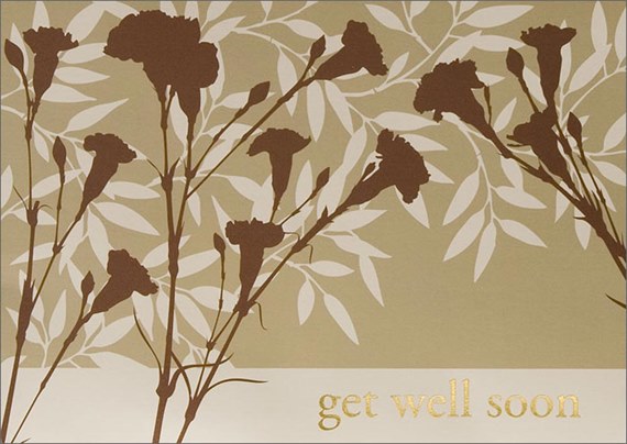 Two Tone Brown Get Well