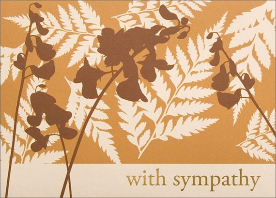 Ferns and Orchids Sympathy