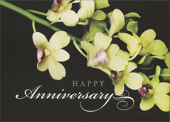Green Orchid Anniversary