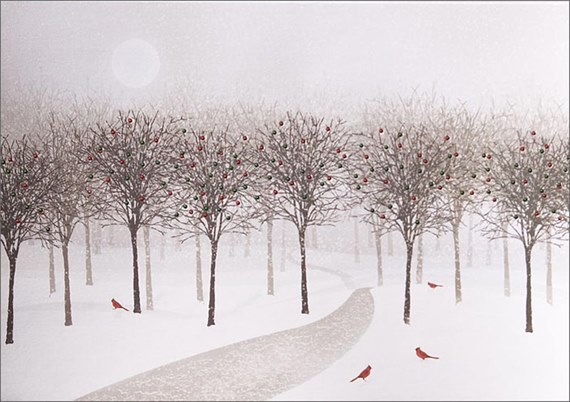 Cardinals Along the Path