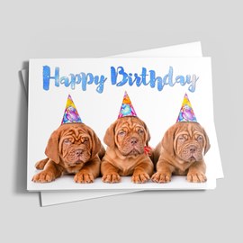 Birthday Pups