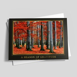 Autumn Forest Gratitude