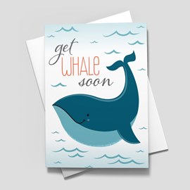 Get Whale