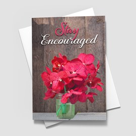 Flowering Encouragement