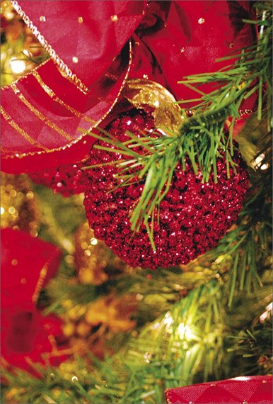 National MS Society Holiday Card