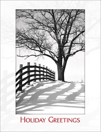 Winter Road Holiday