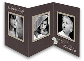 Holiday Greetings Tri-Fold
