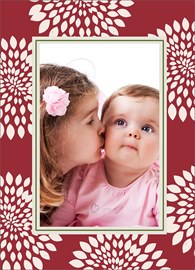 Jolly Floral Tidings