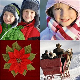 Poinsettia Square Photo