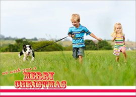 Striped Pink Christmas Photo
