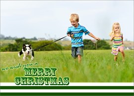 Striped Green Christmas Photo