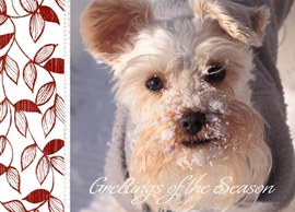 Side Vines Greetings