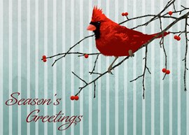 Holiday Cardinal Greetings