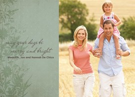 Holiday Greenery Photo
