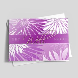 Purple Zinnia Get Well