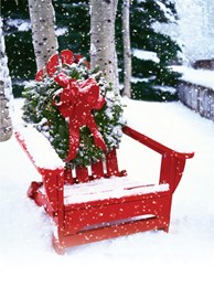 Sitting Pretty Holiday Card