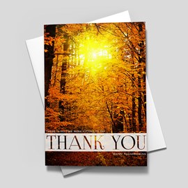 Golden Forest Thank You