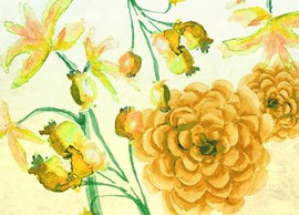 Marigold Watercolor Flowers