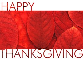 Brilliant Red Thanksgiving