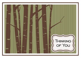 Sage & Brown Thinking Of You