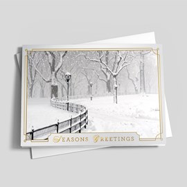 Snow Flurries in the Park
