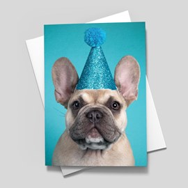Party Dog Birthday Card