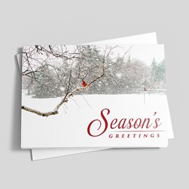 Scarlet Winter Holiday Card