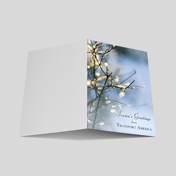 Icy Branches Holiday Card