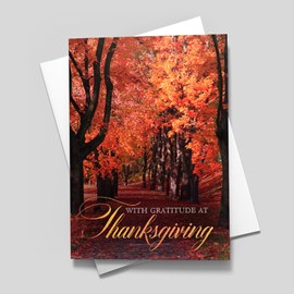 Grateful Walk Thanksgiving Card