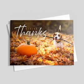 Faithful Friend Thanksgiving Card