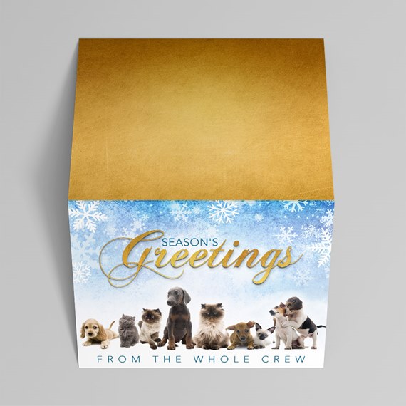 Holiday greeting card with gold interior, blue snowflake design and a row of puppies and kittens