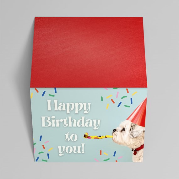 birthday card with dog and confetti design
