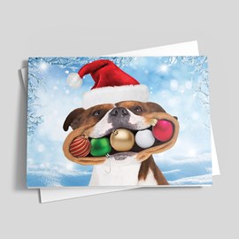 Big Smiles Holiday Card