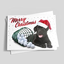 On the Range Christmas Card