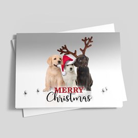 Santa's Caddies Christmas Card