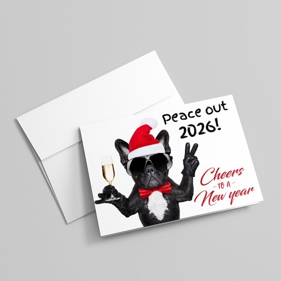 dog in santa hat and sunglasses, photo placeholder