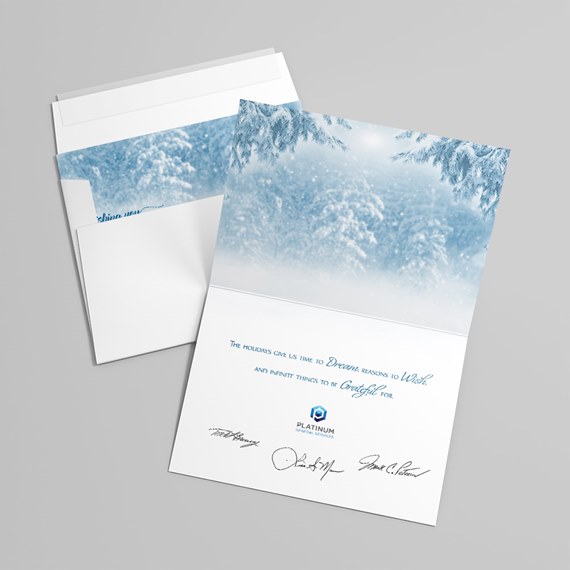 Blue Snowstorm Holiday Card